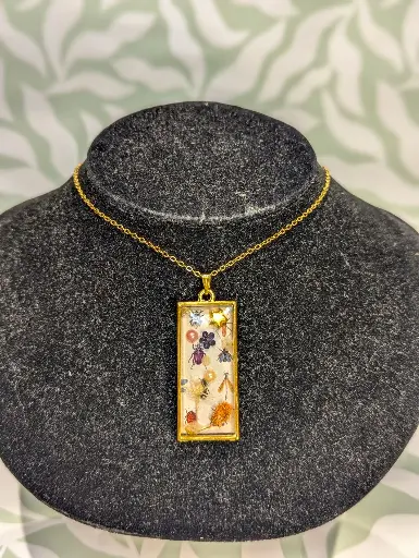 Collier Insectes et Curiosités